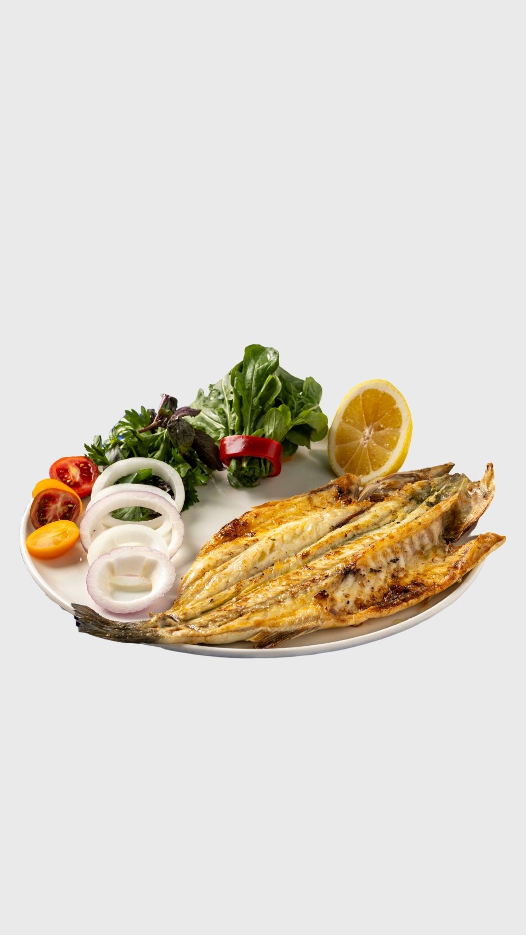 Deniz Ürünleri