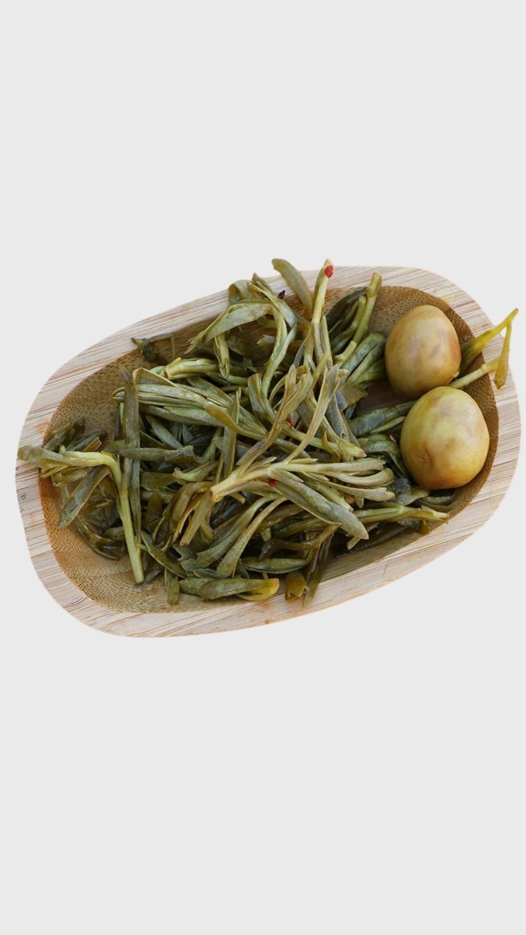 Kaya Koruğu